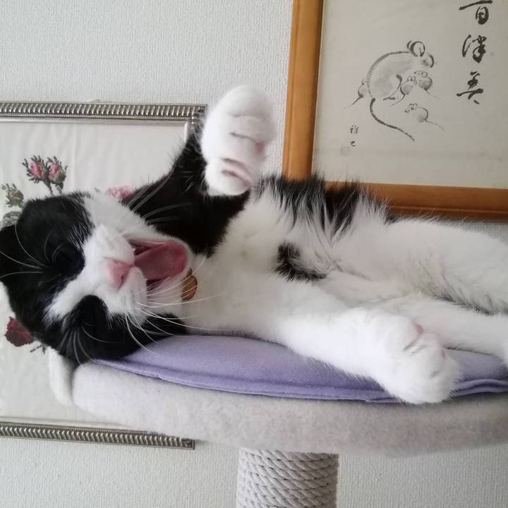 0c23fe80 236b 409b 9cbc 10863d734df0 1561634337777