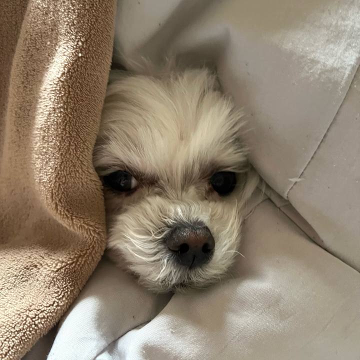 0c23fe8a 34ae 45de 8150 6f27cd991d08 1774775018466