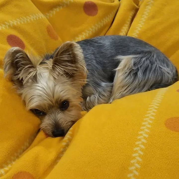 0c240358 e850 40ff a502 80e06052e60b 1620724155300