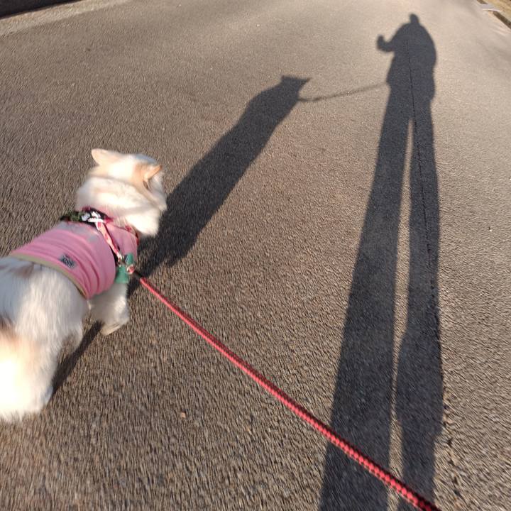 0c24078d 8e83 446d 8d83 cbbcb96bfeae 1675583136640