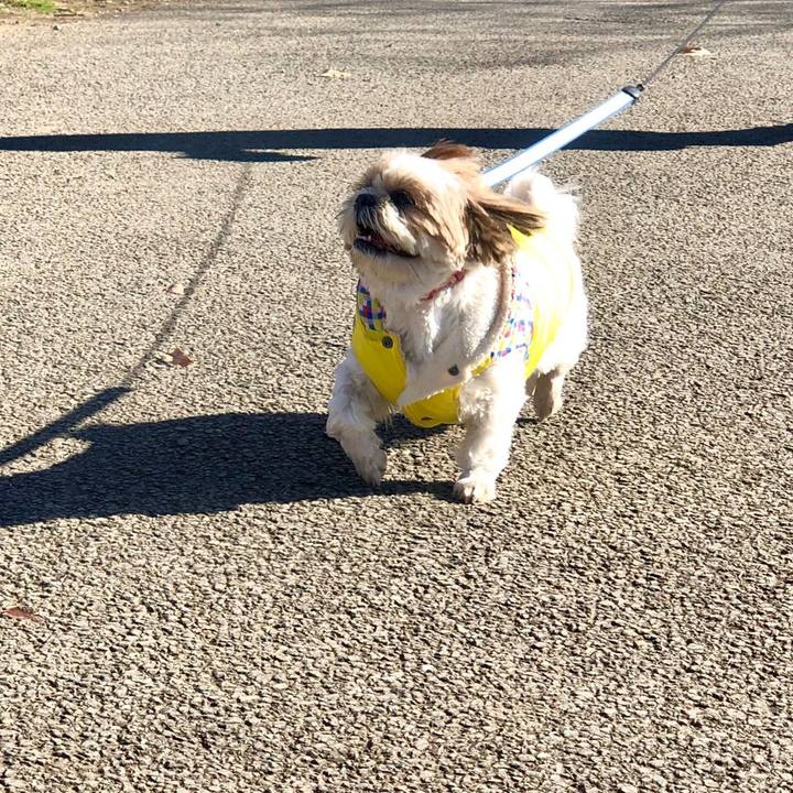 0c24103e 33f3 4814 bbfa bc2d8064ad4e 1546487509109