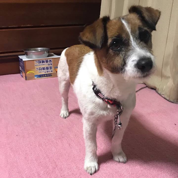 0c241b12 5886 4629 803a 322cdbacd9b1 1557055600290