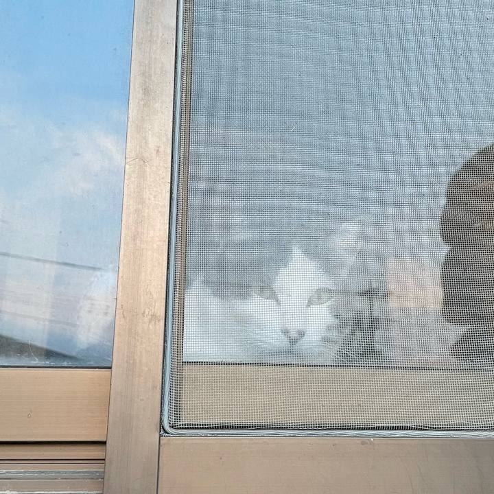 0c243b09 ee95 4038 b77e 955779cca353 1680430398627