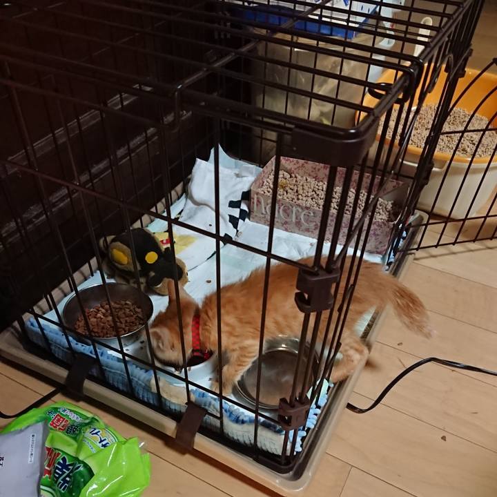 0c2440d4 8d1e 45b1 8957 e2ec72a62df7 1628026320036