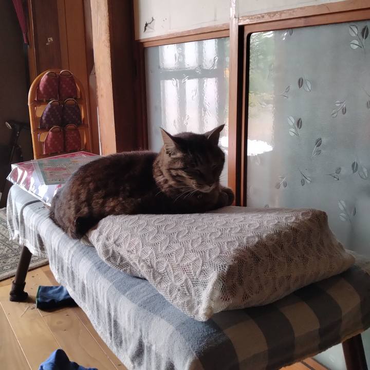 0c248bf9 c205 443e 95fa b1135ca9b7f5 1719698684501