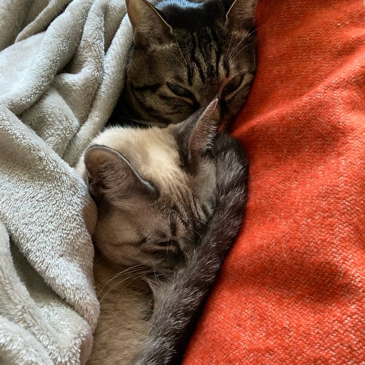 0c24a61f fbbf 46c5 b57c 1ad1053e5b1c 1641259030334