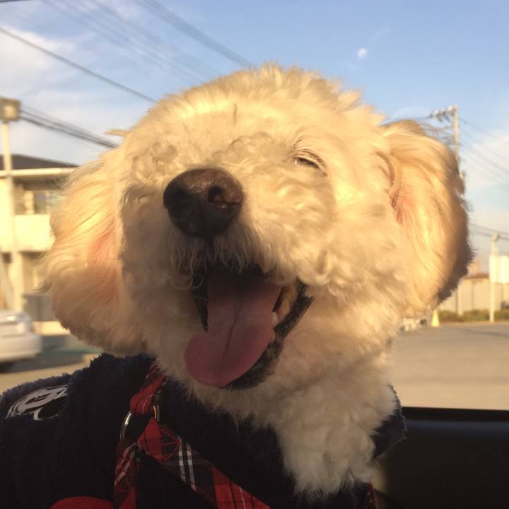 0c24d042 688c 495b 90b7 d946bd81d42b 1511668357799