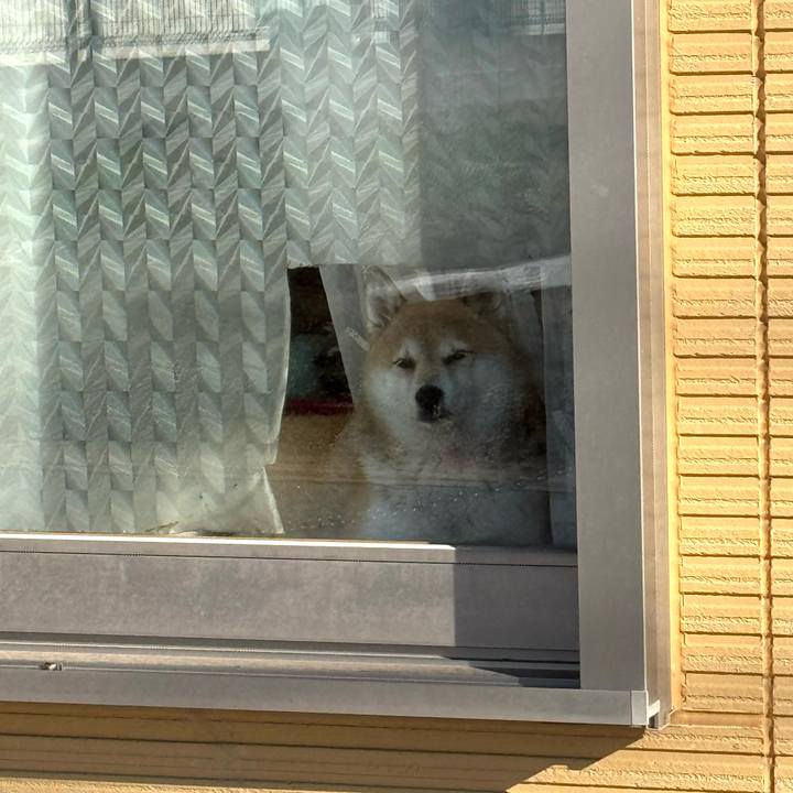 0c24d21f 0f92 456e 90c2 b3dfb7610b68 1763696551801