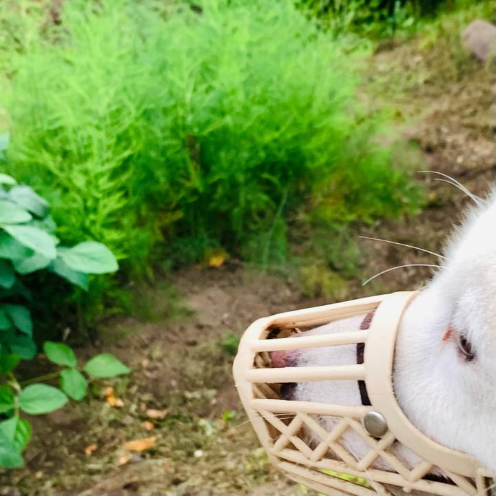 0c253e91 ca2b 427b b38f 12931e8513bf 1659297823716