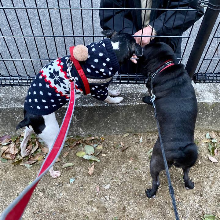 0c258f5c fb91 4929 9c57 93a1485ed47f 1583272644486