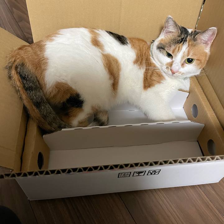 0c25ae4a 60ee 45fe 821f 5ad5debb77c0 1677682758279