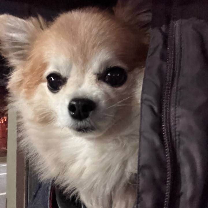 0c25bf72 f23d 4c70 901a e0f08aaf6944 1768817279801