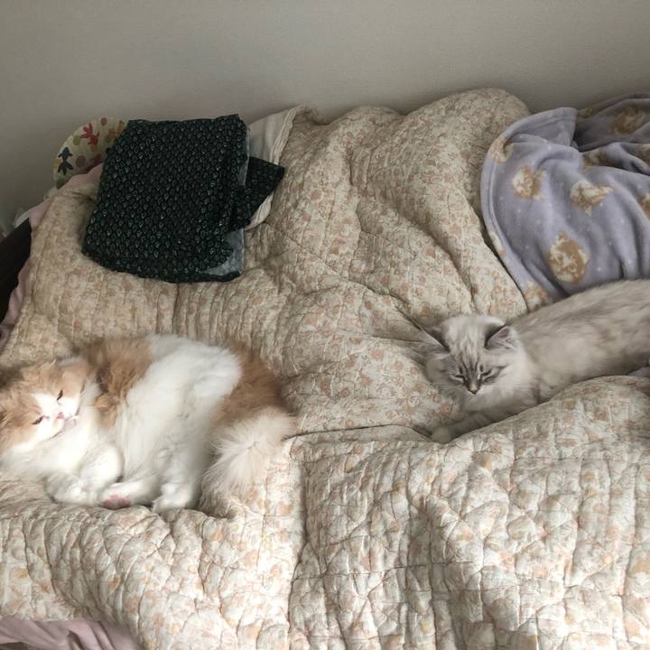 0c25d7b5 a51f 4320 9d5c 3de79886daa3 1672467756332