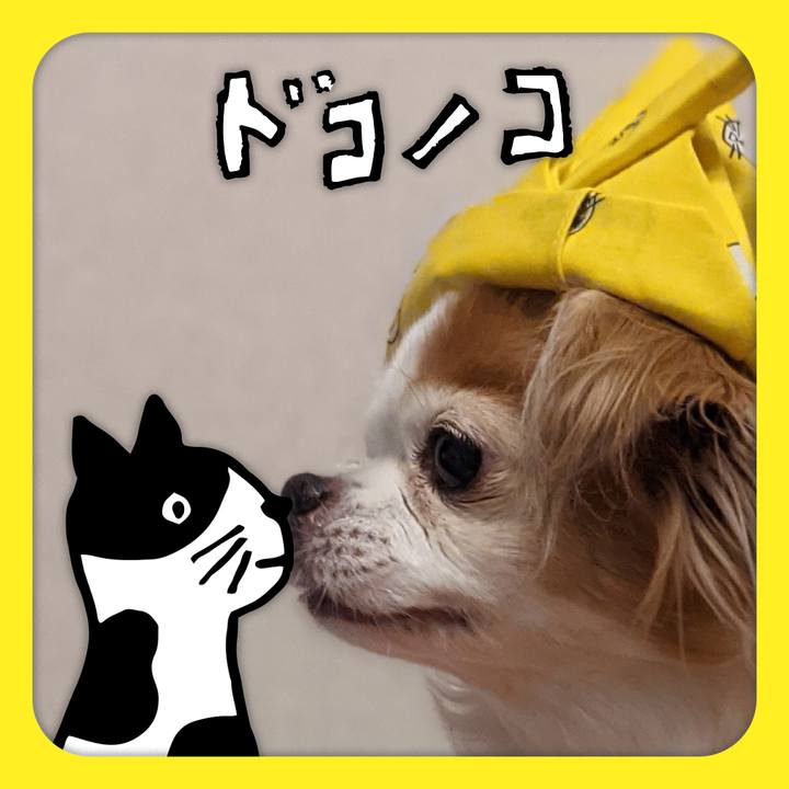 0c25e0cd 8873 4002 a2b8 00f27e002dd6 1622896384132