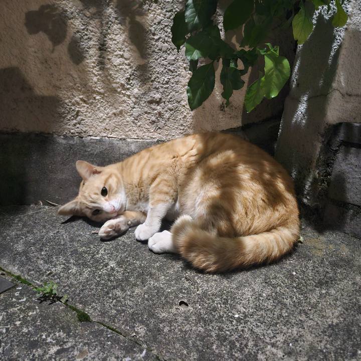 0c25f843 c056 4a6f a89e 9d3eb1388c75 1715253623277