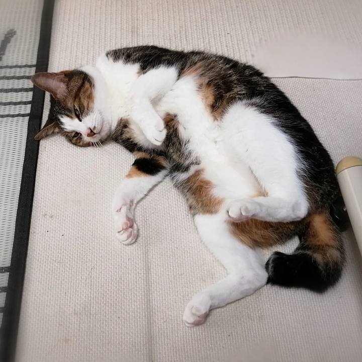 0c26055d e2e6 48e8 a63b b7b2144881a6 1596844169290