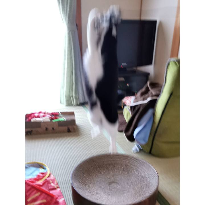 0c2621ef 6bcc 48e6 810e e14b3686a368 1670735683944