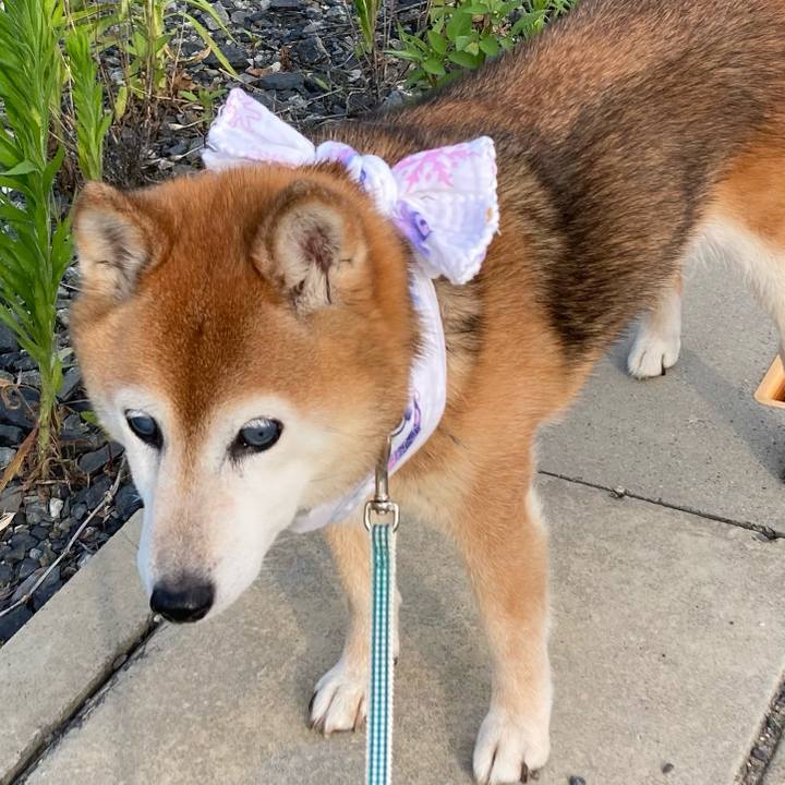 0c266801 2e02 4023 9ffa 37506999575c 1751185097301