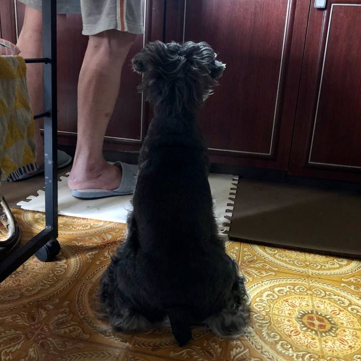 0c2681fe 0bde 48db 87f4 767942ca4fb1 1693608656324