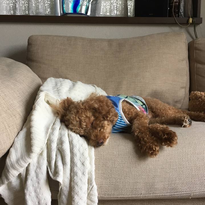 0c2692bb 1664 4a81 8dff d0c3060ae124 1533340565443