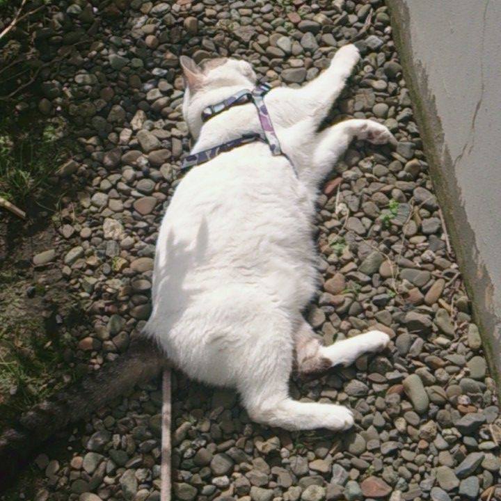 0c26acb5 9429 4a74 95df e55f91238fd5 1611977270230