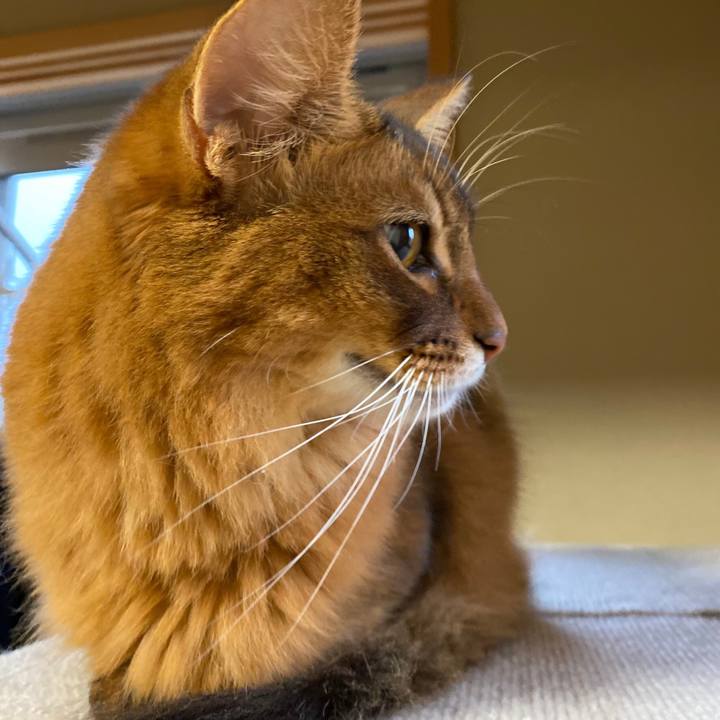 0c26e97e 06be 41eb 9559 8aac8f77c904 1637537331884