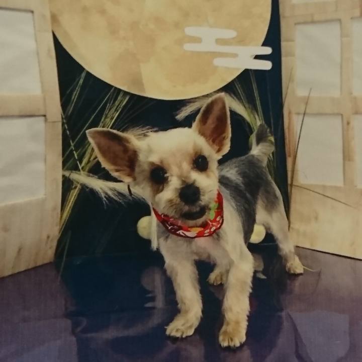 0c274666 2ae1 4fa4 b229 96bfe53bae9a 1538221051731