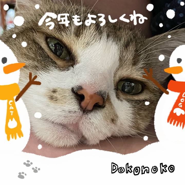 0c274f0a b4b6 4f4e 9387 6f6a4492d04c 1704555342155