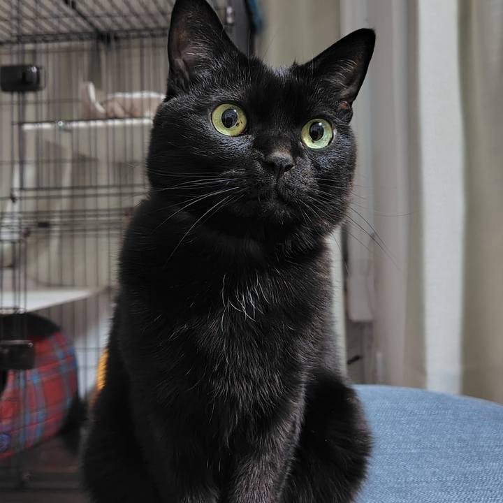 0c275796 78de 4be2 af08 d719cdcd009e 1773228549391