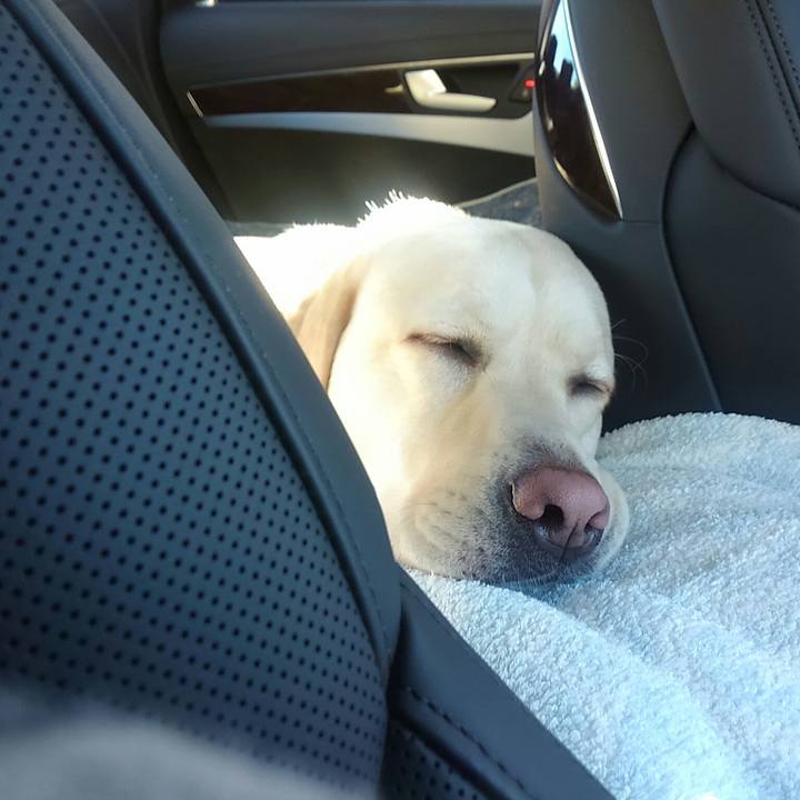 0c276e8b f2eb 4ce3 837b 4c4eb65fe348 1511436332339