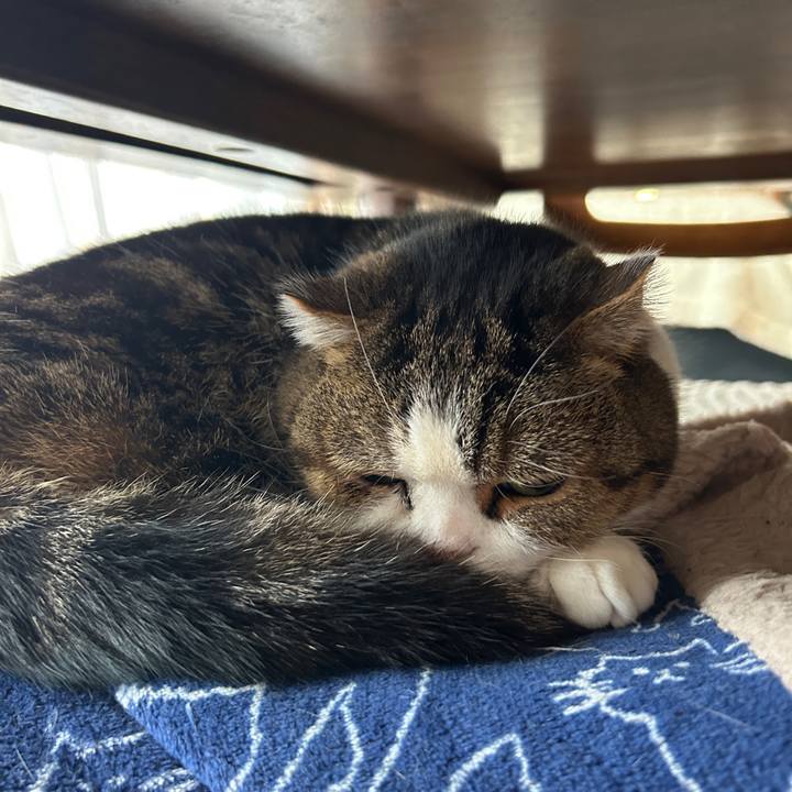 0c277bca 4182 4e72 bf10 2219722aa18b 1771025845067