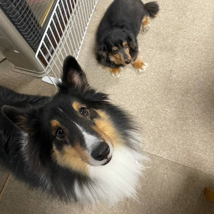 0c27b84a 05c0 4407 8d34 4974c2f0f34a 1637531294304