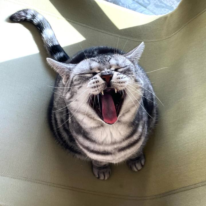 0c27b9ec 07cc 4b7f 9986 0fd4f0b5fcc6 1769049696420