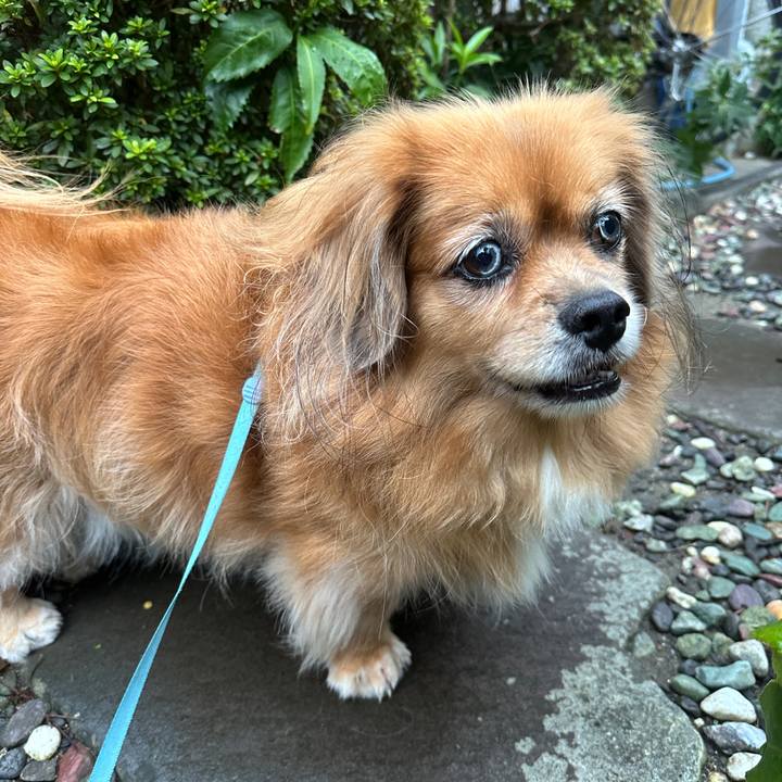 0c27c1ec 1914 47a0 9800 ed0e4af42ddf 1759786566798