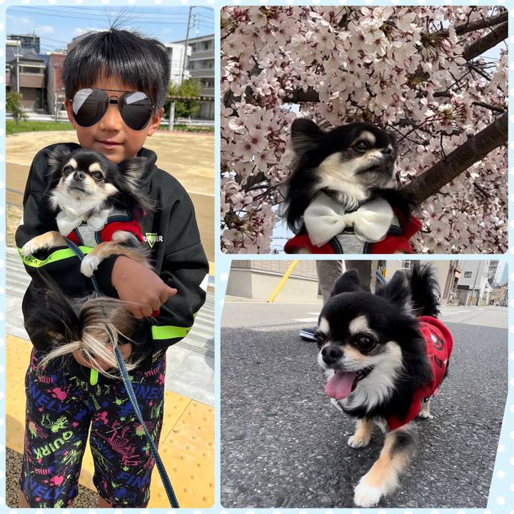 0c27fb9f 2808 44b9 aab5 53d087b22571 1680408022881