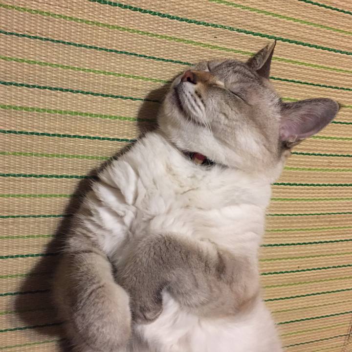 0c280401 9115 4971 b28b fbbccf838523 1538133624563