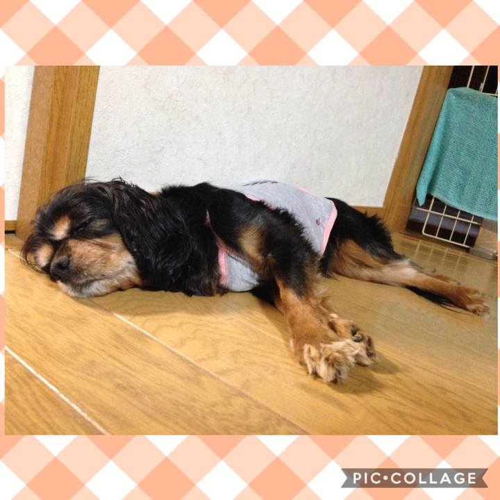 0c2824a5 2ebd 4e2f 80f5 033c483b4995 1542376620365