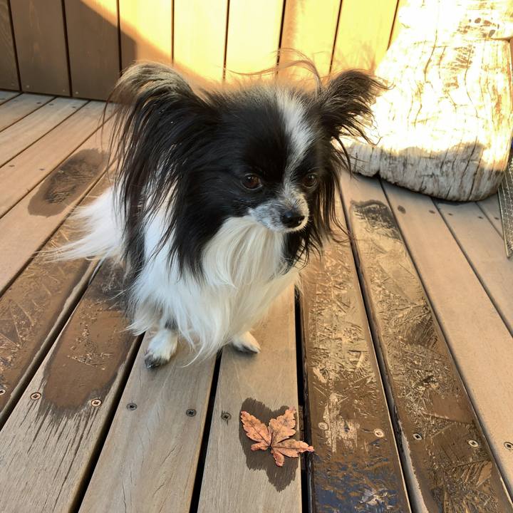 0c2828ef 5a50 43bc b7d1 3a1db97e555d 1548977421645