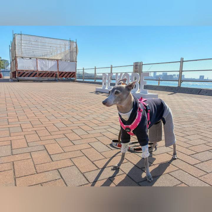 0c283e89 3691 4921 acc3 8208c037eb71 1771931608147