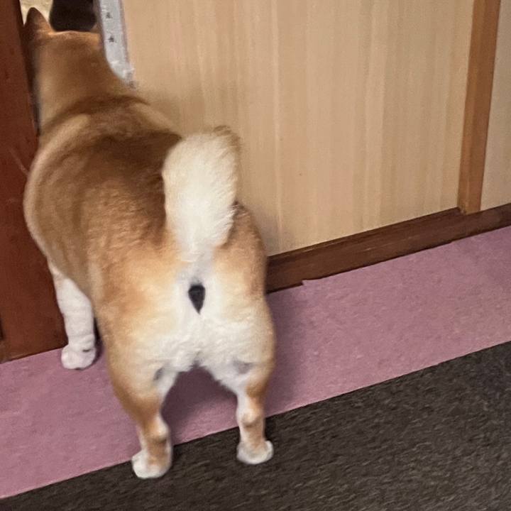 0c283f57 42b2 4660 a336 bd729d0087b6 1709785010901