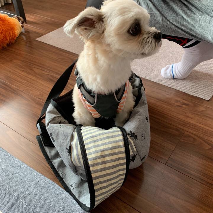 0c28422f 5ceb 4634 923d 6fafb5b3a36b 1566132849565