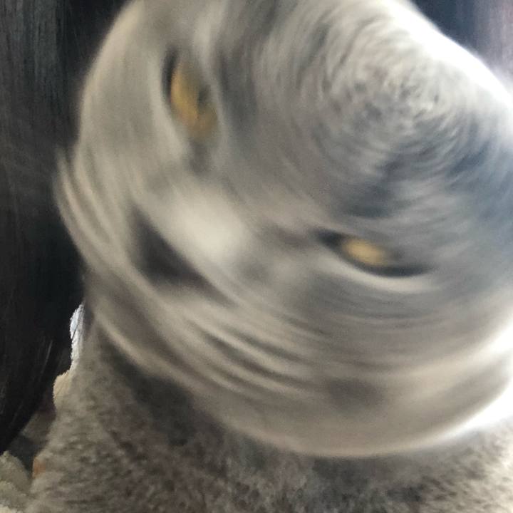 0c2883ca 4e0e 47af a7b0 48282fc2b43e 1631354105416