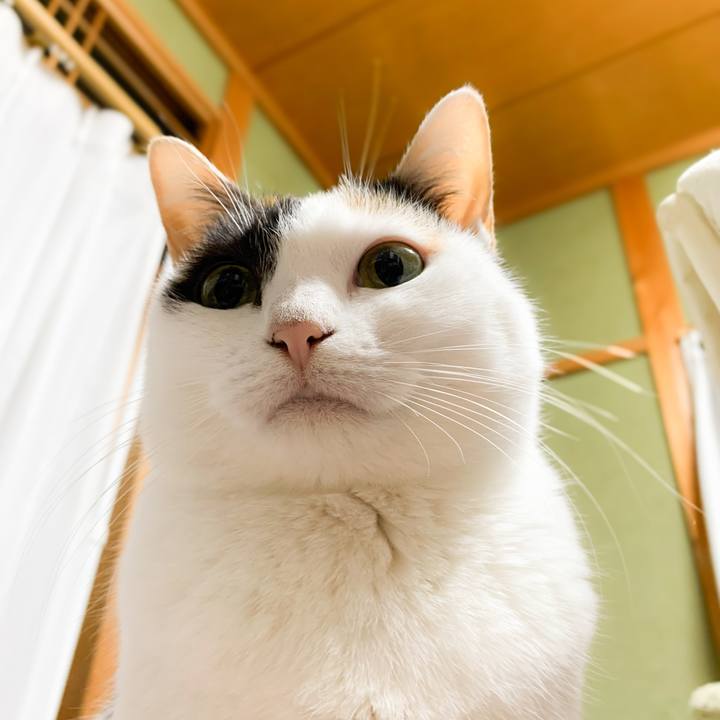 0c28afad 4784 4780 b5c4 8e07200b91f7 1579570668236