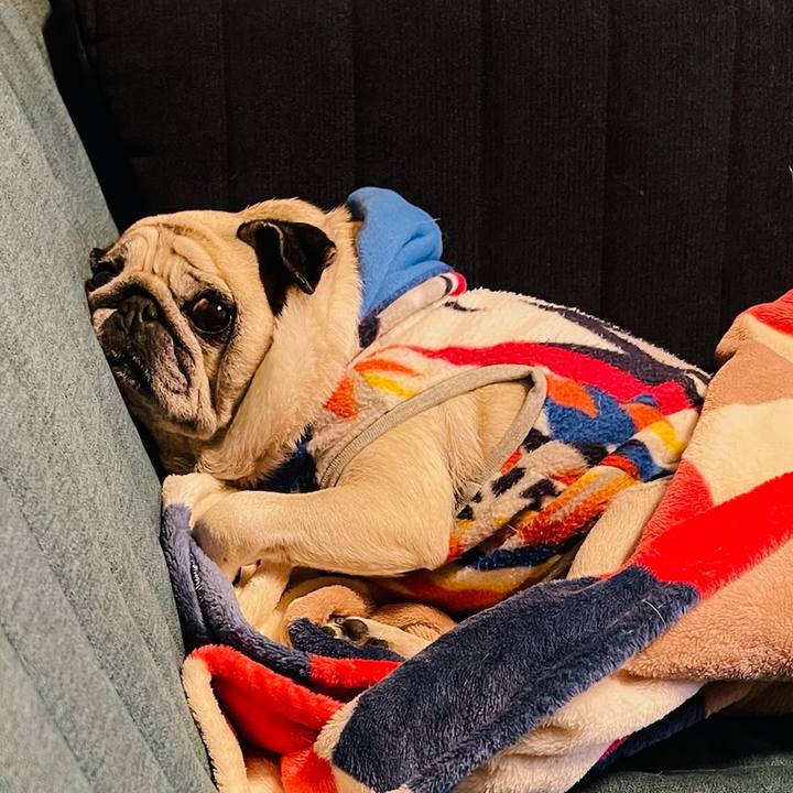 0c28fe30 6e5f 41b7 9362 aef2ae9f2a31 1769580968553