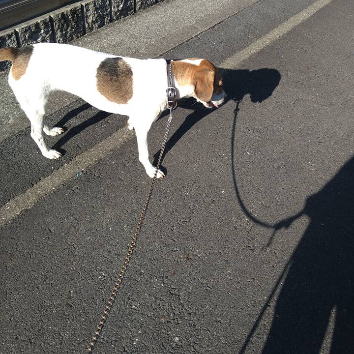 0c290616 08a1 43df 896b 4169294e726b 1662888434612