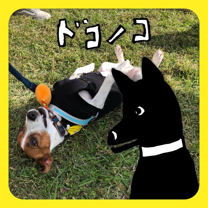 0c2912a8 63bd 46f3 970c 0b433fb9aec8 1622895767747