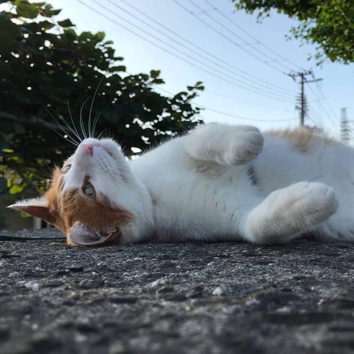 0c2941db 8bb9 4b07 bdf0 3e4a2cbf14b7 1531570622765