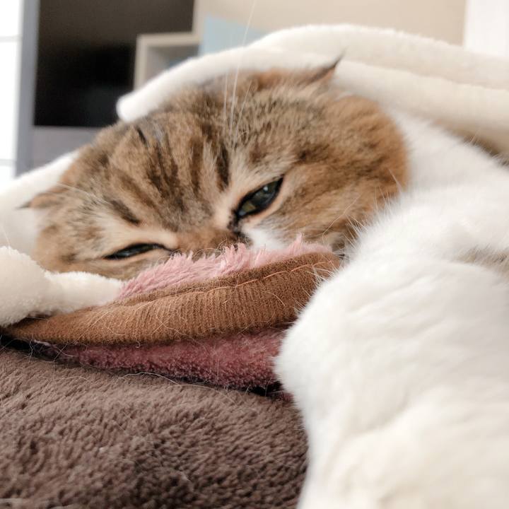 0c299165 623a 45ef b4d3 5706223d9ef3 1604813442109