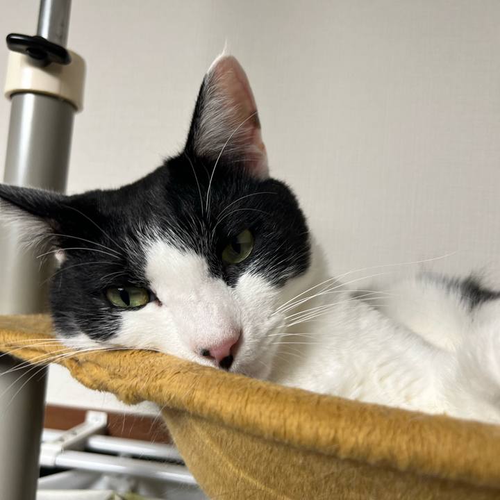 0c29a34f 3264 49e1 89a2 ab06bc615167 1758456813698