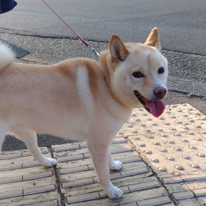 0c29fcf0 0fc8 4fc5 b686 5c82227084f1 1597441556042